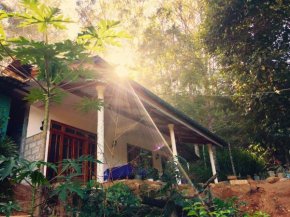  Secret Nest Homestay  Элла
